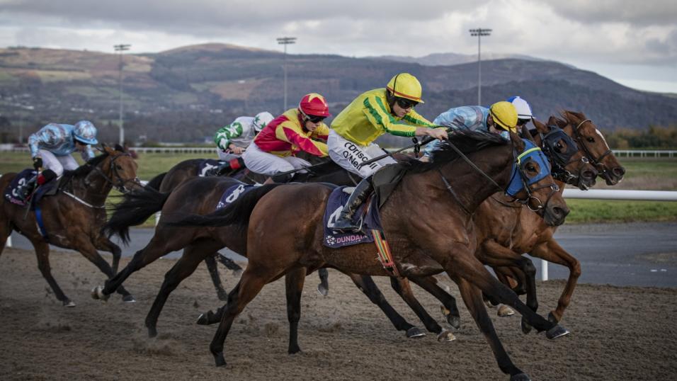 Horses racing at Dundalk
